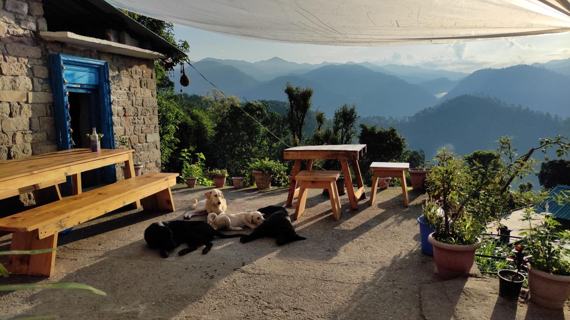 Vista Hostel Jeolikote, Nainital Patwa Dunga Δωμάτιο φωτογραφία