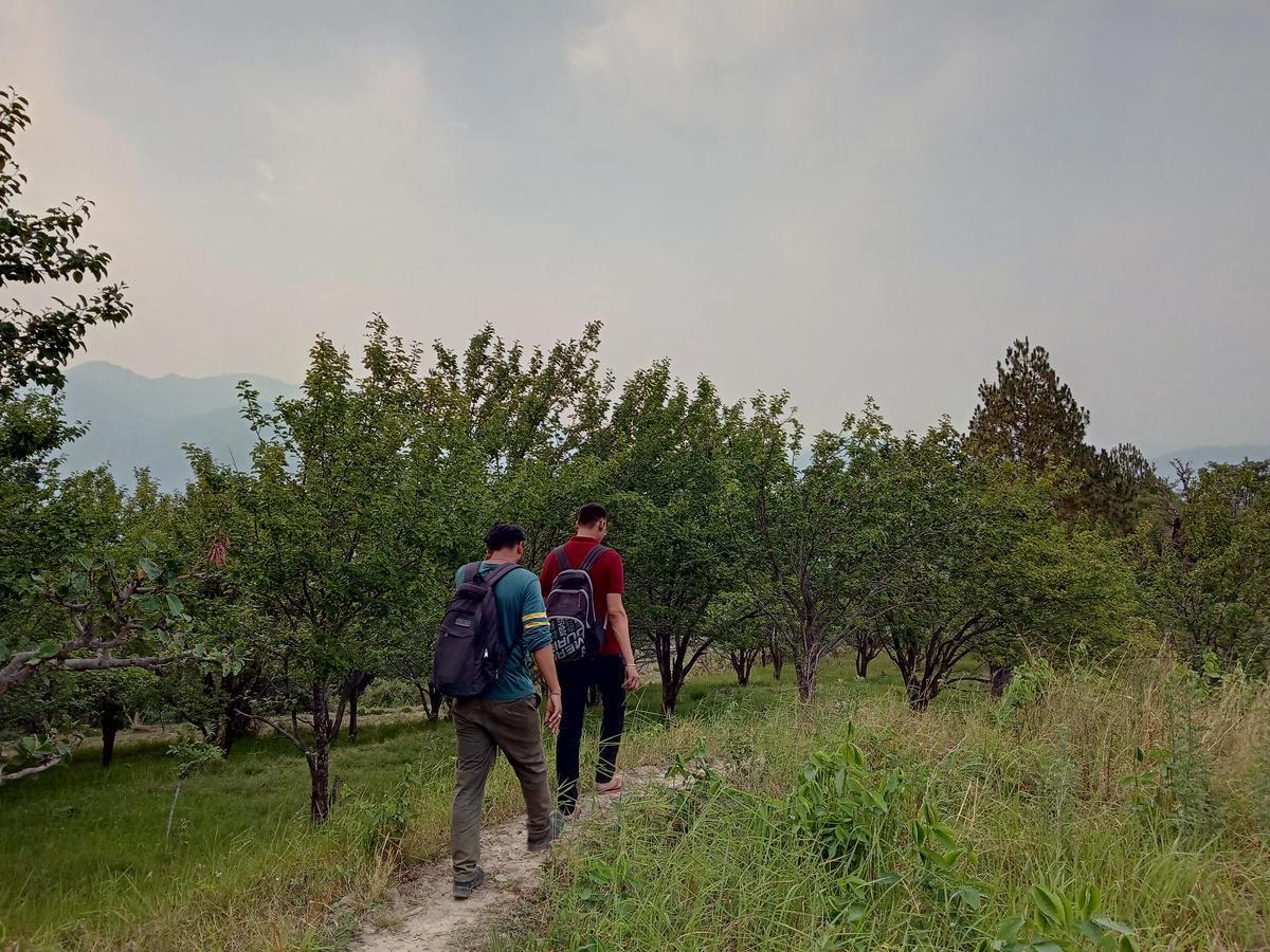 Vista Hostel Jeolikote, Nainital Patwa Dunga Εξωτερικό φωτογραφία